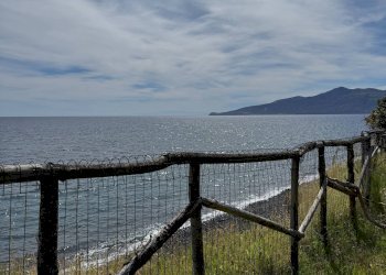 Foto 59 - Casa indipendente Strada Provinciale 182
 
snc, Santa Marina Salina - foto 53