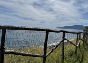 Foto 60 - Casa indipendente Strada Provinciale 182
 
snc, Santa Marina Salina - foto 54