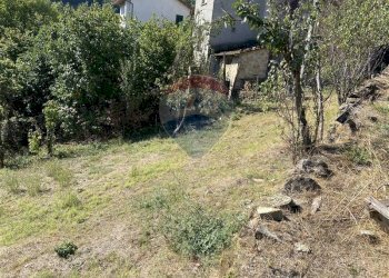 Giardino - Rustico Pellegrino Parmense - foto 6