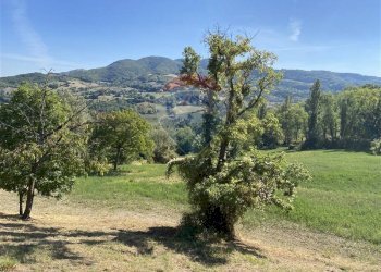 Vista delle montagne - Rustico Pellegrino Parmense - foto 7