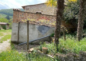 Giardino - Rustico Pellegrino Parmense - foto 24