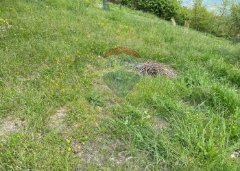 Giardino - Rustico Pellegrino Parmense - foto 29