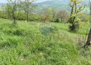 Giardino - Rustico Pellegrino Parmense - foto 30