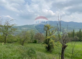 Vista delle montagne - Rustico Pellegrino Parmense - foto 31