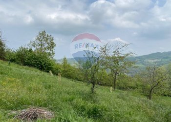 Giardino - Rustico Pellegrino Parmense - foto 33