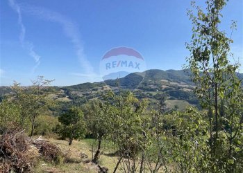 Vista delle montagne - Rustico Pellegrino Parmense - foto 37