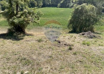 Giardino - Rustico Pellegrino Parmense - foto 38