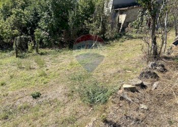 Giardino - Rustico Pellegrino Parmense - foto 41