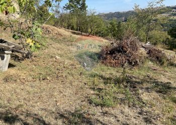 Giardino - Rustico Pellegrino Parmense - foto 42