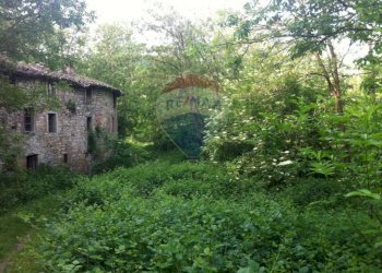 Giardino - Rustico Sp 109 Pellegrino Parmense
 
00, Pellegrino Parmense - foto 4