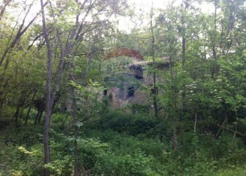 Giardino - Rustico Sp 109 Pellegrino Parmense
 
00, Pellegrino Parmense - foto 5