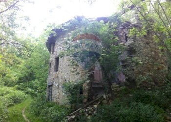 Giardino - Rustico Sp 109 Pellegrino Parmense
 
00, Pellegrino Parmense - foto 6