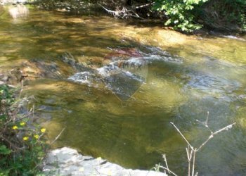 Vista dell\'acqua - Rustico Sp 109 Pellegrino Parmense
 
00, Pellegrino Parmense - foto 8