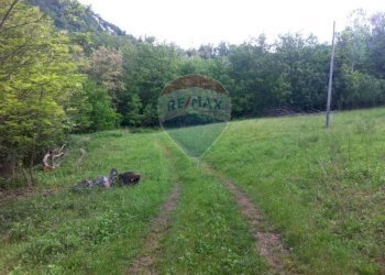 Giardino - Rustico Sp 109 Pellegrino Parmense
 
00, Pellegrino Parmense - foto 9