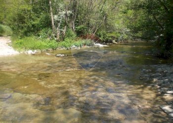 Giardino - Rustico Sp 109 Pellegrino Parmense
 
00, Pellegrino Parmense - foto 18