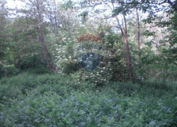 Giardino - Rustico Sp 109 Pellegrino Parmense
 
00, Pellegrino Parmense - foto 19