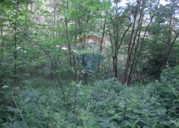 Giardino - Rustico Sp 109 Pellegrino Parmense
 
00, Pellegrino Parmense - foto 20