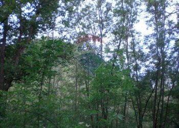 Non correlato - Rustico Sp 109 Pellegrino Parmense
 
00, Pellegrino Parmense - foto 21