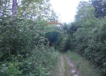 Non correlato - Rustico Sp 109 Pellegrino Parmense
 
00, Pellegrino Parmense - foto 22