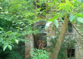 Giardino - Rustico Sp 109 Pellegrino Parmense
 
00, Pellegrino Parmense - foto 23