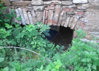 Giardino - Rustico Sp 109 Pellegrino Parmense
 
00, Pellegrino Parmense - foto 24