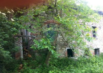 Giardino - Rustico Sp 109 Pellegrino Parmense
 
00, Pellegrino Parmense - foto 25