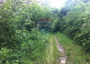 Giardino - Rustico Sp 109 Pellegrino Parmense
 
00, Pellegrino Parmense - foto 26