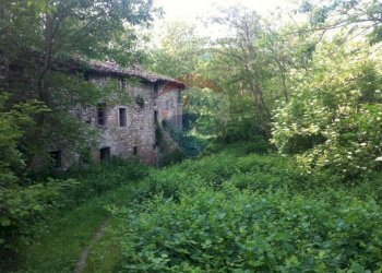 Giardino - Rustico Sp 109 Pellegrino Parmense
 
00, Pellegrino Parmense - foto 28