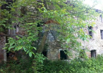 Giardino - Rustico Sp 109 Pellegrino Parmense
 
00, Pellegrino Parmense - foto 30