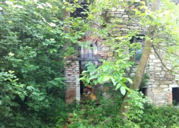 Giardino - Rustico Sp 109 Pellegrino Parmense
 
00, Pellegrino Parmense - foto 31