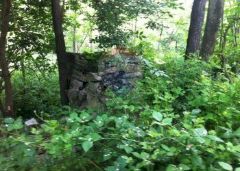 Giardino - Rustico Sp 109 Pellegrino Parmense
 
00, Pellegrino Parmense - foto 34