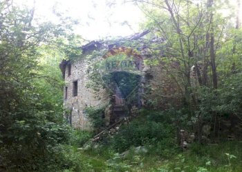 Giardino - Rustico Sp 109 Pellegrino Parmense
 
00, Pellegrino Parmense - foto 36