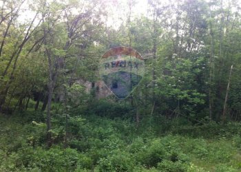 Giardino - Rustico Sp 109 Pellegrino Parmense
 
00, Pellegrino Parmense - foto 37