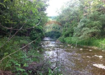 Giardino - Rustico Sp 109 Pellegrino Parmense
 
00, Pellegrino Parmense - foto 39