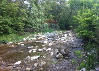 Giardino - Rustico Sp 109 Pellegrino Parmense
 
00, Pellegrino Parmense - foto 40