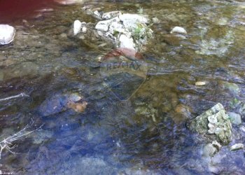 Edificio all\'aperto - Rustico Sp 109 Pellegrino Parmense
 
00, Pellegrino Parmense - foto 41