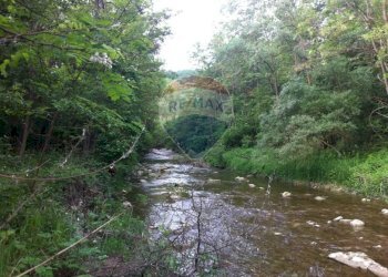 Giardino - Rustico Sp 109 Pellegrino Parmense
 
00, Pellegrino Parmense - foto 42