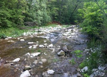 Giardino - Rustico Sp 109 Pellegrino Parmense
 
00, Pellegrino Parmense - foto 43