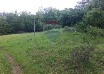 Giardino - Rustico Sp 109 Pellegrino Parmense
 
00, Pellegrino Parmense - foto 44