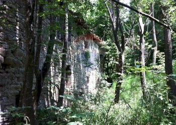 Giardino - Rustico Sp 109 Pellegrino Parmense
 
00, Pellegrino Parmense - foto 46