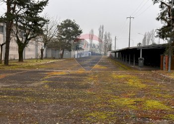 Giardino - Capannone pinzone
7, Poggio Rusco - foto 5