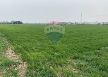 Giardino - Rustico Strada Baganzola, Parma - foto 27