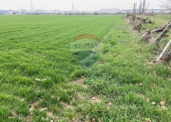 Giardino - Rustico Strada Baganzola, Parma - foto 28