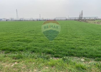 Giardino - Rustico Strada Baganzola, Parma - foto 29