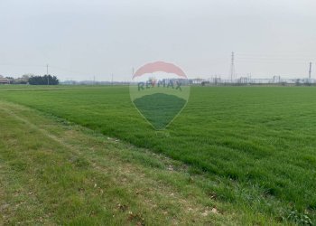 Giardino - Rustico Strada Baganzola, Parma - foto 30