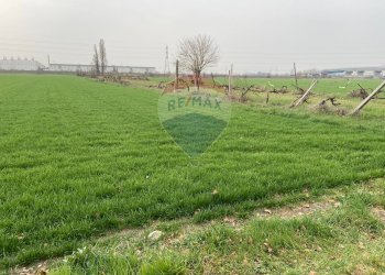 Giardino - Rustico Strada Baganzola, Parma - foto 31