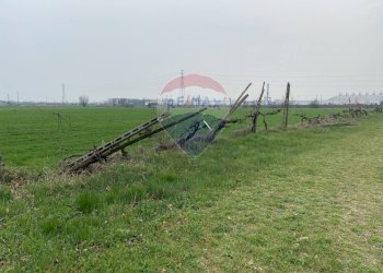 Giardino - Rustico Strada Baganzola, Parma - foto 33
