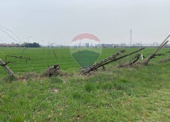 Giardino - Rustico Strada Baganzola, Parma - foto 34