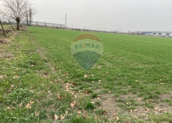 Giardino - Rustico Strada Baganzola, Parma - foto 35