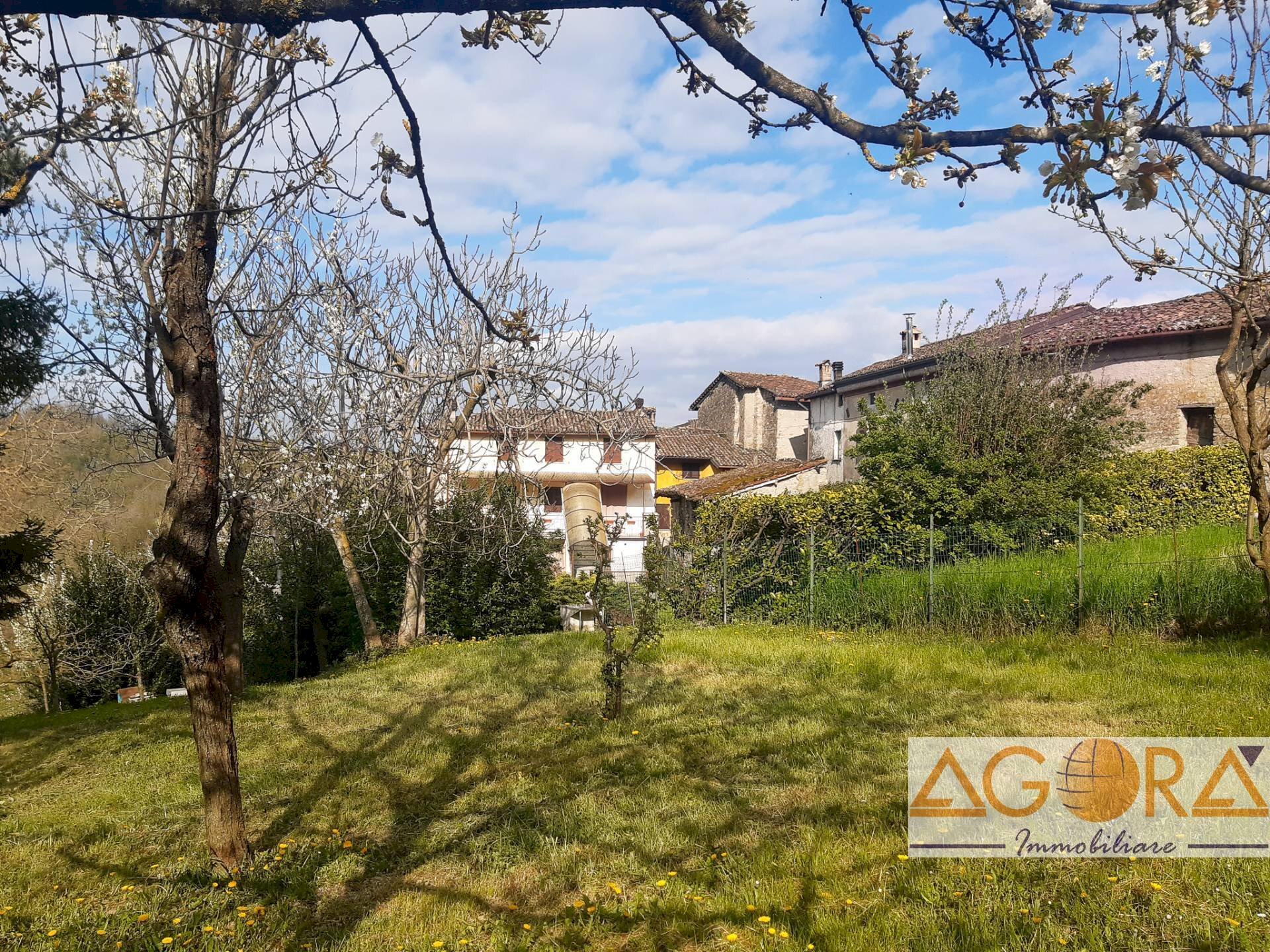 Foto 3 - Casa indipendente Avolasca - foto 3